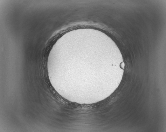 X0000080141494200701051500