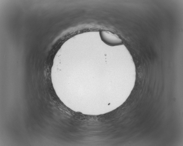 X0000080141495200701051500