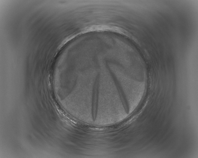 X0000080141497200701051500