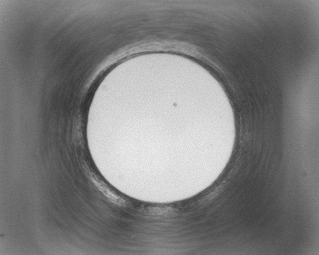 X0000080141498200701051500