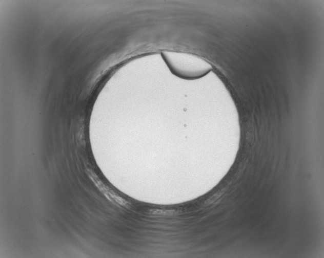 X0000080141499200701051500