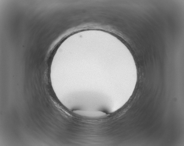 X0000080141502200701051500