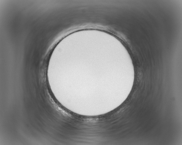 X0000080141504200701051500