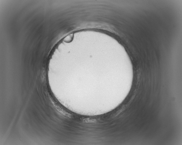 X0000080141505200701051500