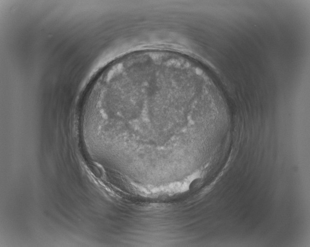 X0000080141506200701051500