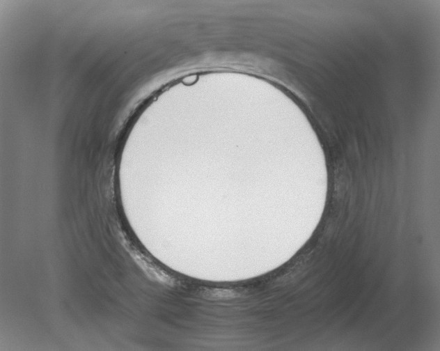 X0000080141507200701051500