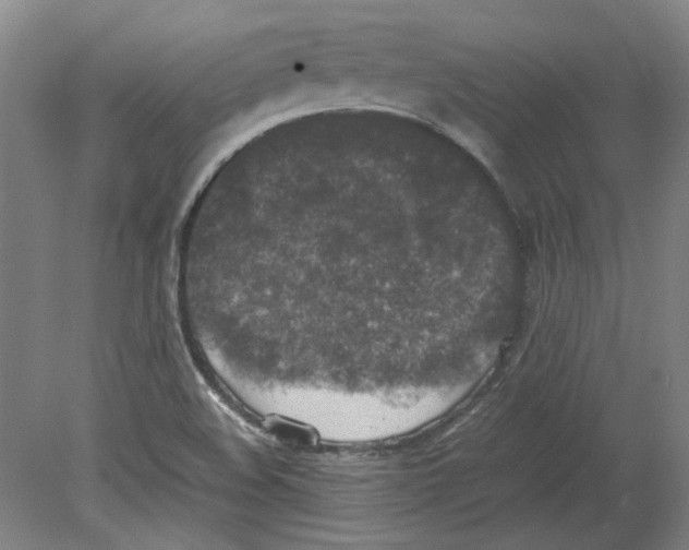 X0000080141508200701051500