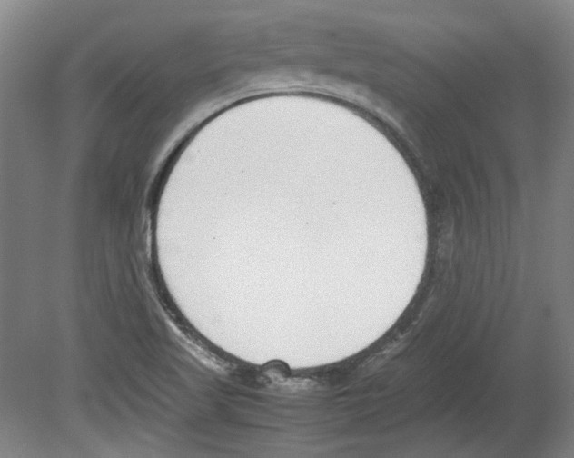 X0000080141509200701051500