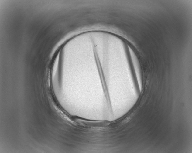 X0000080141510200701051500