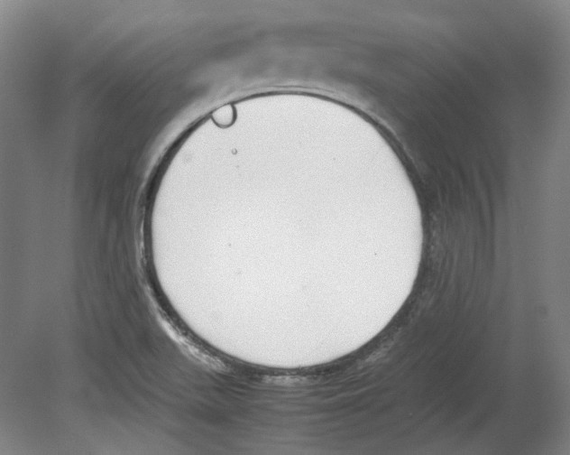 X0000080141511200701051500