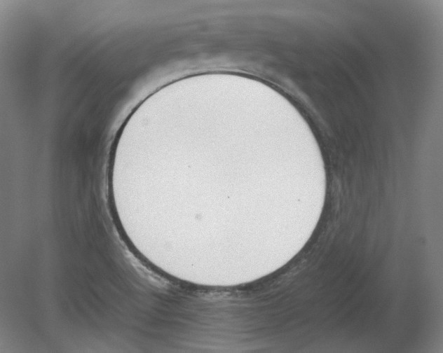 X0000080141512200701051500