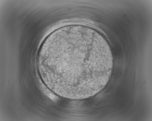 X0000080141514200701051500