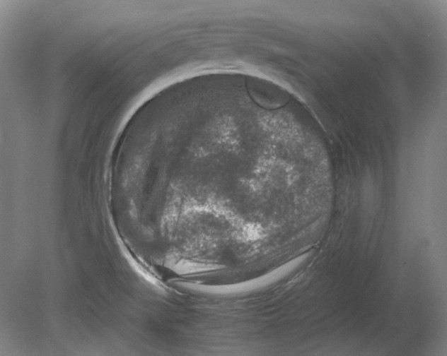 X0000080141519200701051500