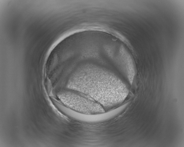 X0000080141520200701051500