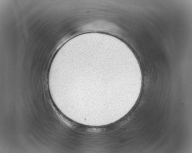 X0000080141521200701051500