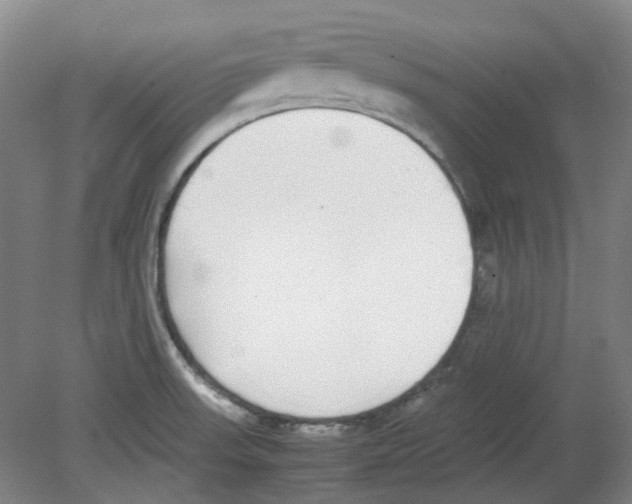 X0000080141523200701051500