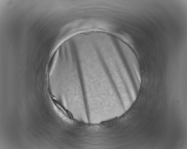 X0000080141524200701051500