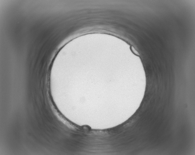 X0000080141526200701051500