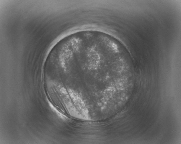 X0000080141527200701051500