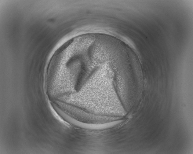 X0000080141528200701051500