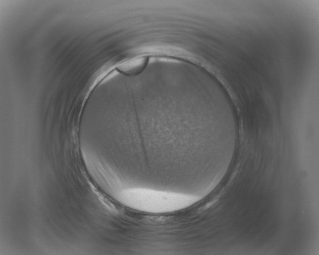 X0000080141529200701051500
