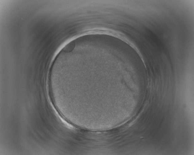 X0000080141533200701051500