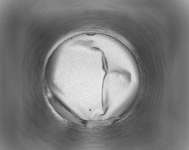 X0000080141536200701051500