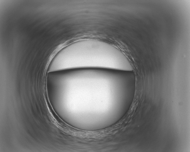 X0000080150003200612081104