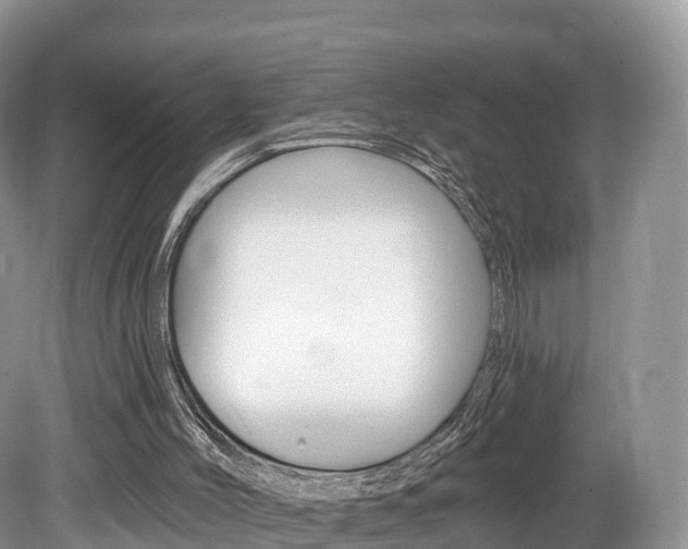 X0000080150004200612081104