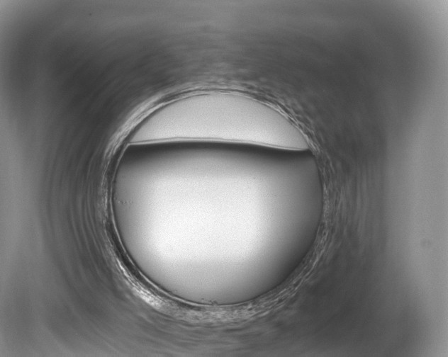 X0000080150005200612081104