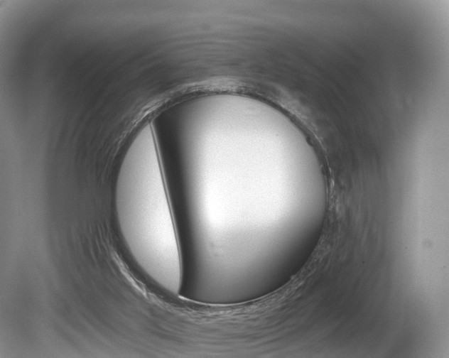 X0000080150013200612081104