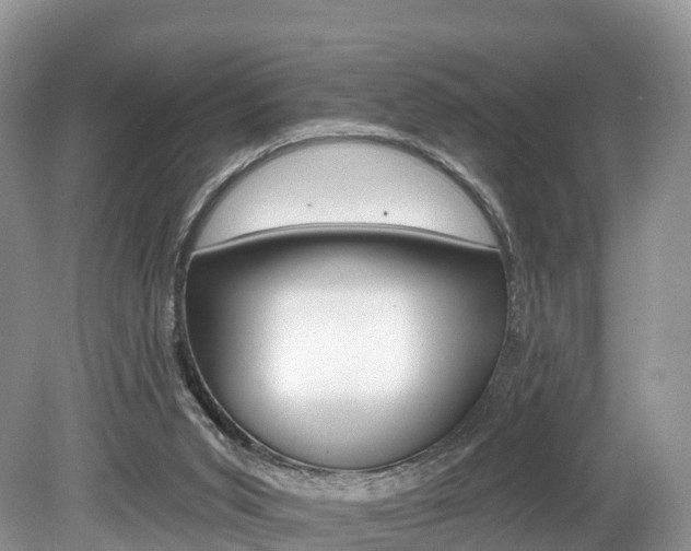 X0000080150015200612081104