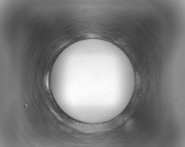 X0000080150028200612081104