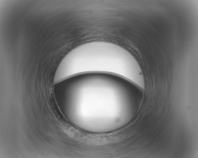 X0000080150029200612081104