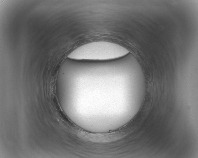 X0000080150030200612081104