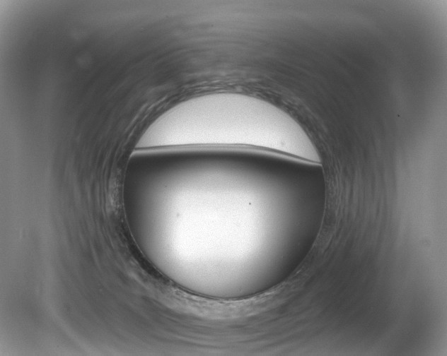 X0000080150035200612081104