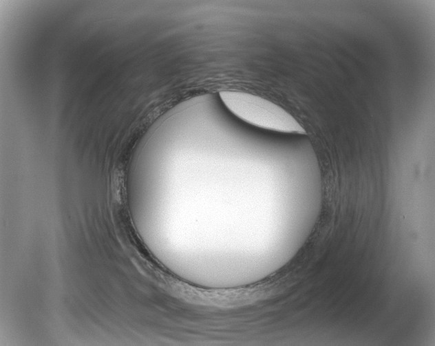 X0000080150038200612081104