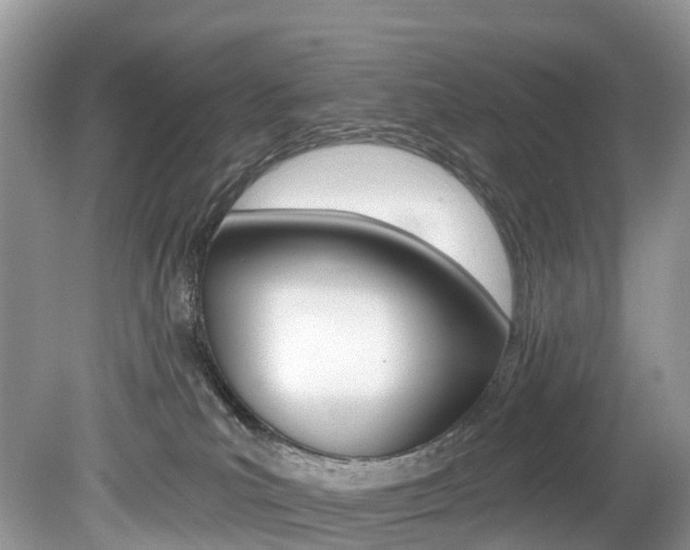 X0000080150039200612081104