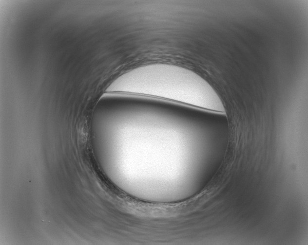 X0000080150040200612081104