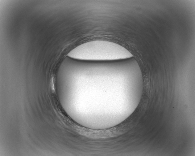 X0000080150042200612081104