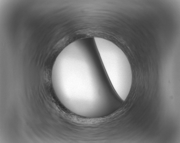 X0000080150044200612081104