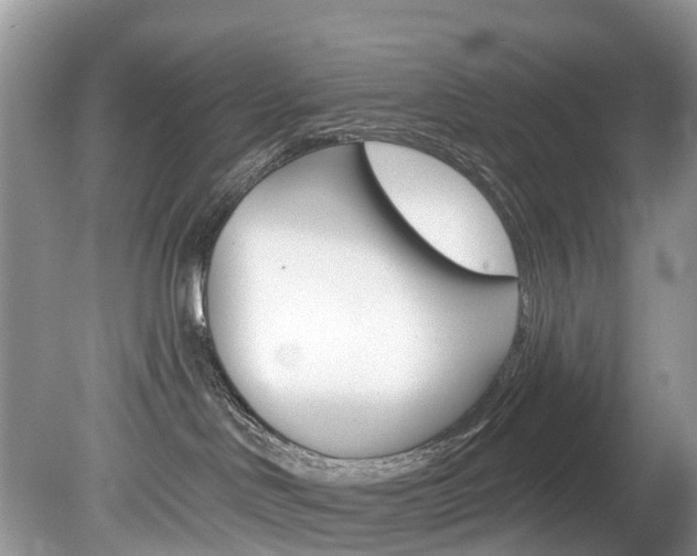 X0000080150046200612081103