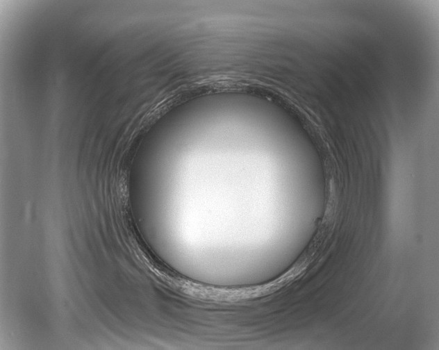 X0000080150048200612081103