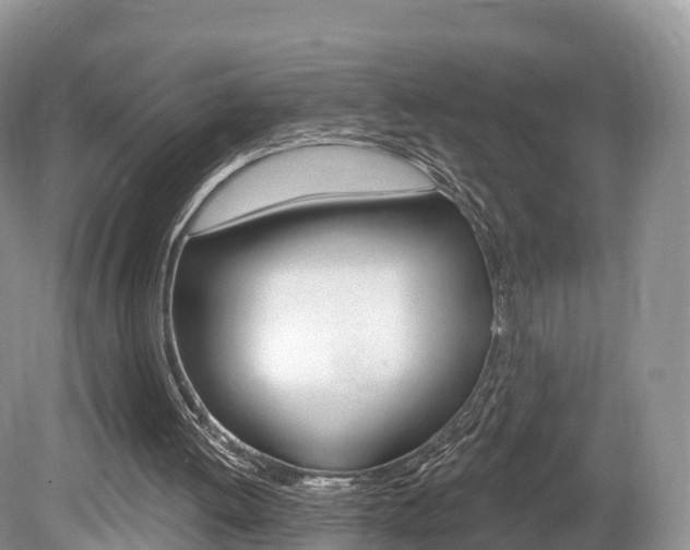 X0000080150052200612081103