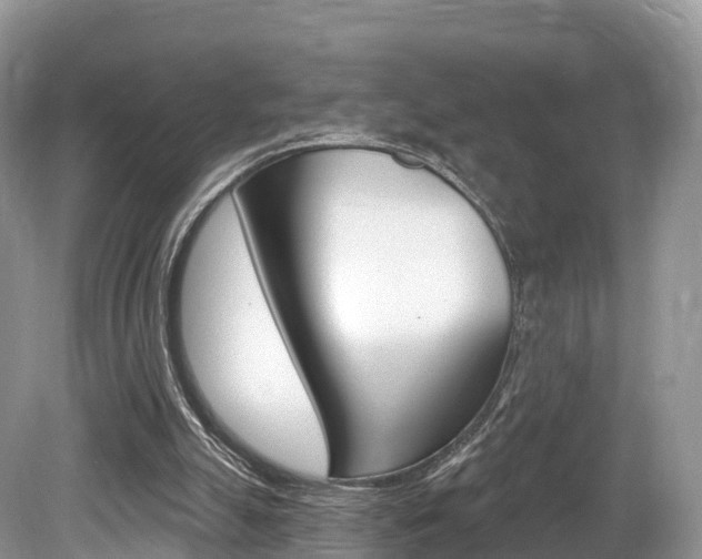 X0000080150055200612081103