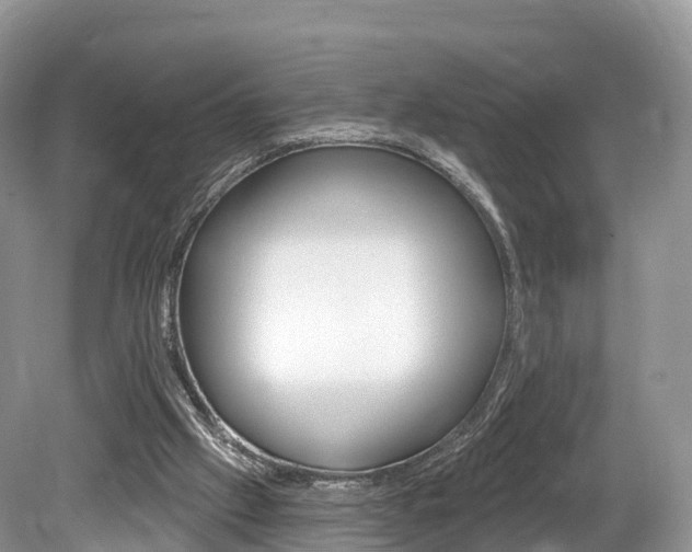 X0000080150057200612081103