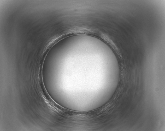 X0000080150058200612081103