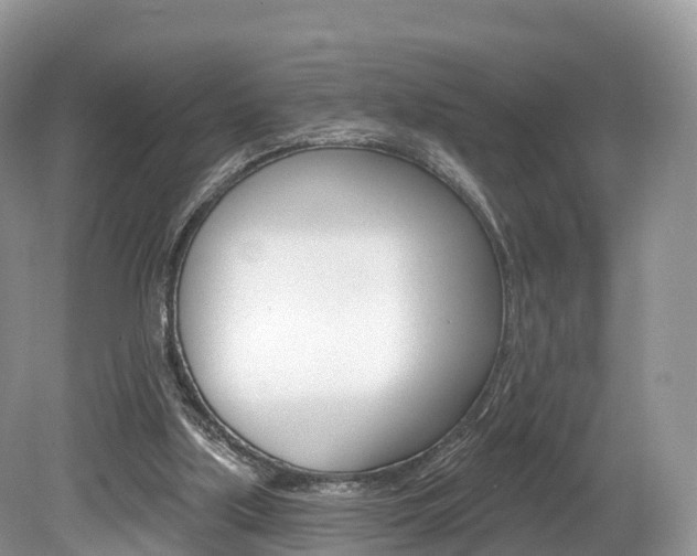 X0000080150059200612081103