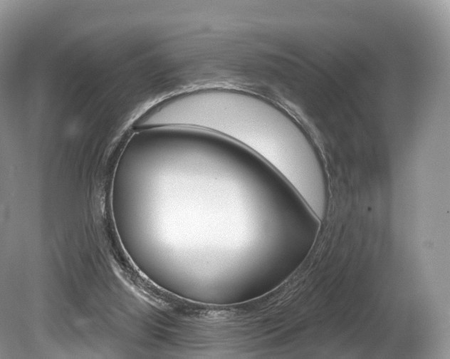 X0000080150060200612081103