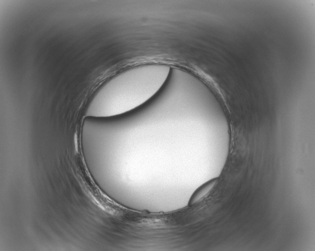X0000080150061200612081103